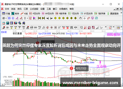 英超为何突然停摆专家深度解析背后成因与未来走势全面观察动向评