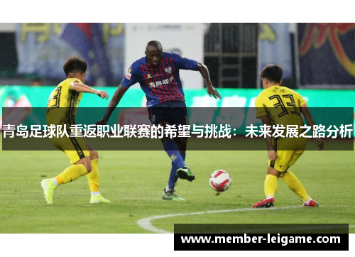 青岛足球队重返职业联赛的希望与挑战：未来发展之路分析