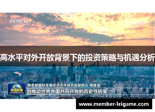 高水平对外开放背景下的投资策略与机遇分析 高水平对外开放背景下的投资策略与机遇分析