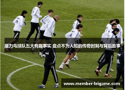 魔力鸟球队五大有趣事实 盘点不为人知的传奇时刻与背后故事